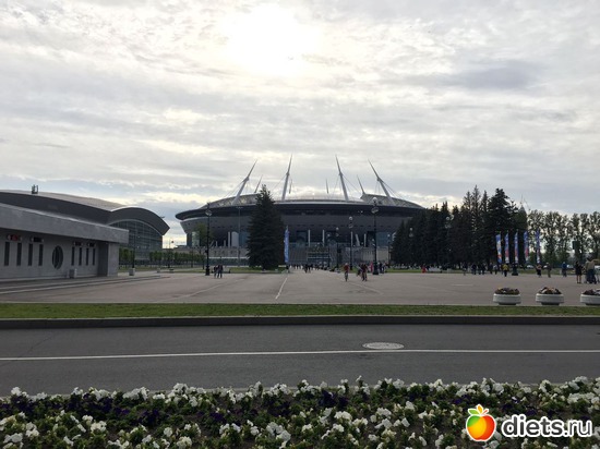 6 ����: ����� 2017 ����