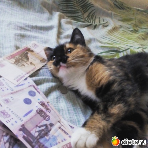 ТришА, альбом: моя живность