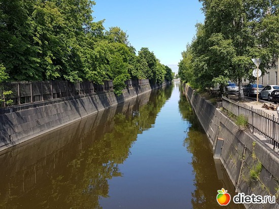 29 ����: ����� 2017 ����