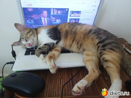 38 ����: ��� ��������