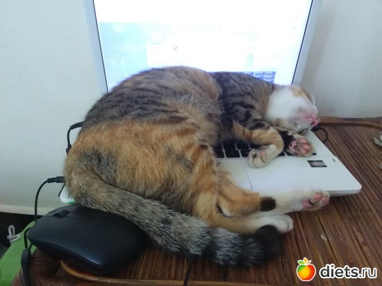 39 ����: ��� ��������