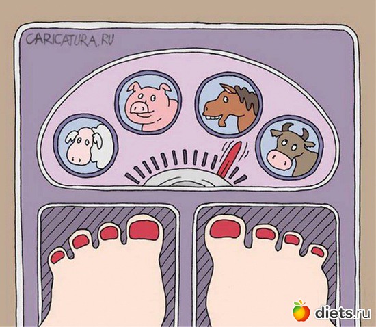 3 ����: ���������