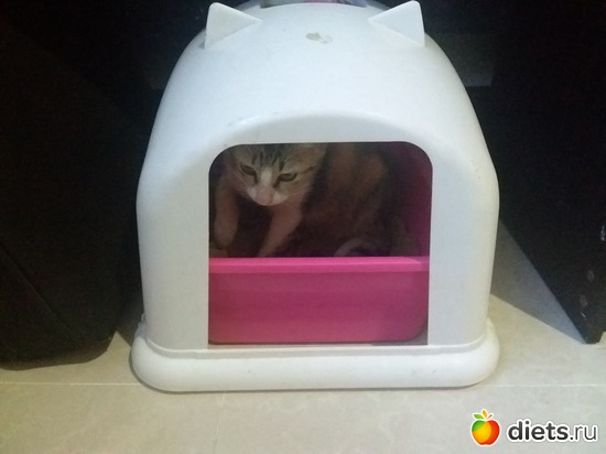 40 ����: ��� ��������