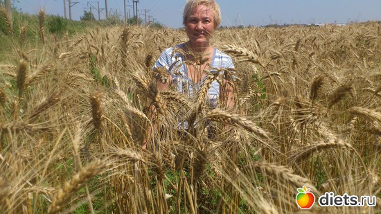 2 фото: июль 2017г