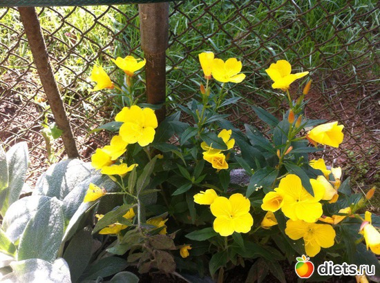 2 ����: ����� �� ����