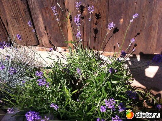 3 ����: ����� �� ����