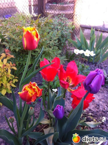 5 ����: ����� �� ����