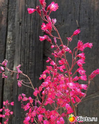 6 ����: ����� �� ����