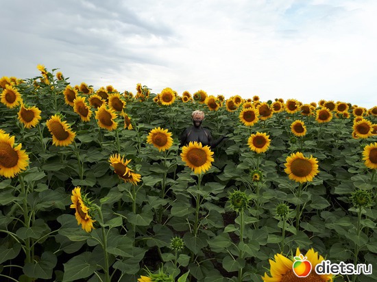 .  20.07.17, :  2017