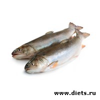 �������, �����