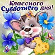 ����� �� ������� "����� 60". ����� �� ������� 22.07.2017.