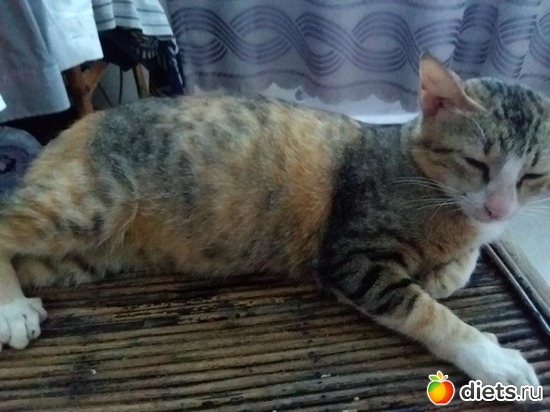 42 ����: ��� ��������