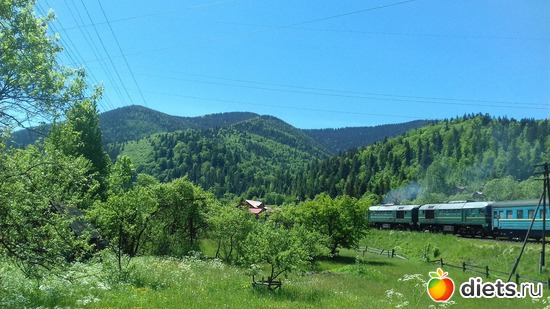 4 ����: ����� ����