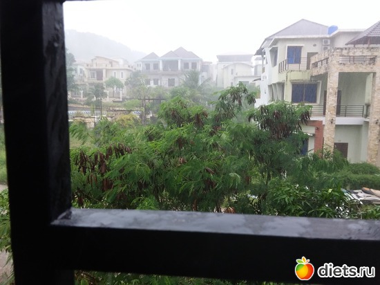 ����� ����� 5.06.2017, ������: ����������, ������ �����