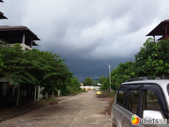 4.06.2017.8 ����, ������: ������, ������� � ����.