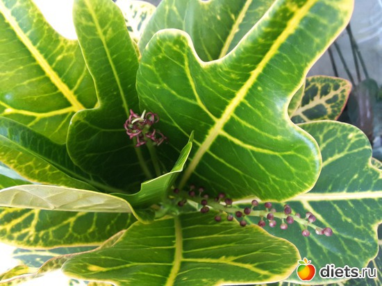 1 ����: ��� �������� � �������!