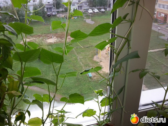 3 ����: ��� �������� � �������!