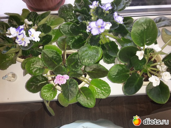 9 ����: ��� �������� � �������!