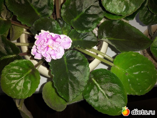 10 ����: ��� �������� � �������!