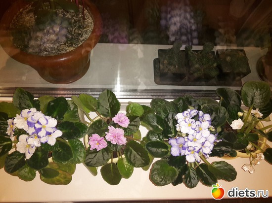 12 ����: ��� �������� � �������!