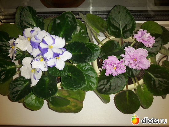 13 ����: ��� �������� � �������!