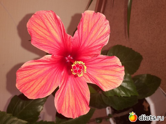 14 ����: ��� �������� � �������!