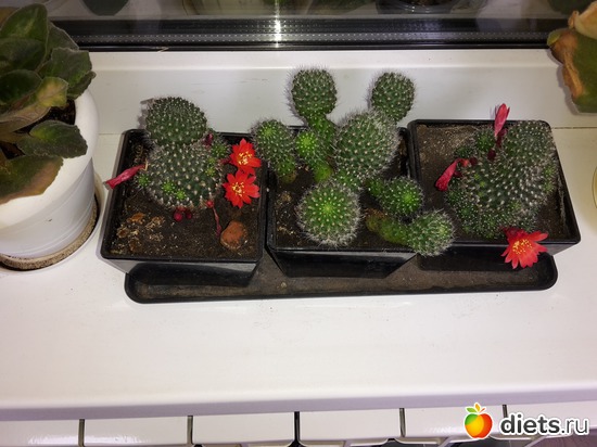 15 ����: ��� �������� � �������!