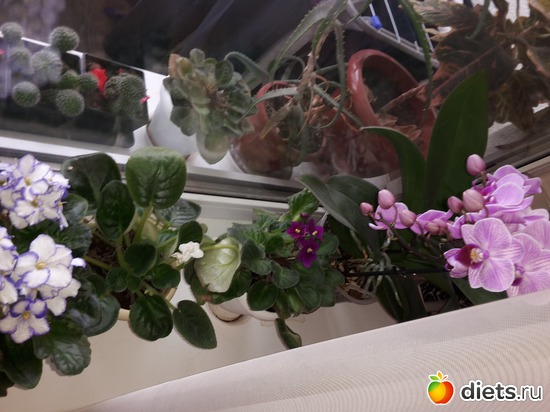 16 ����: ��� �������� � �������!