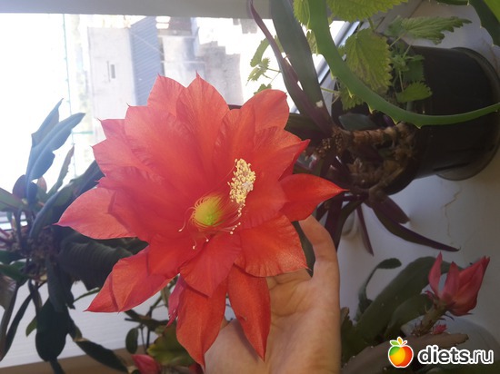 17 ����: ��� �������� � �������!