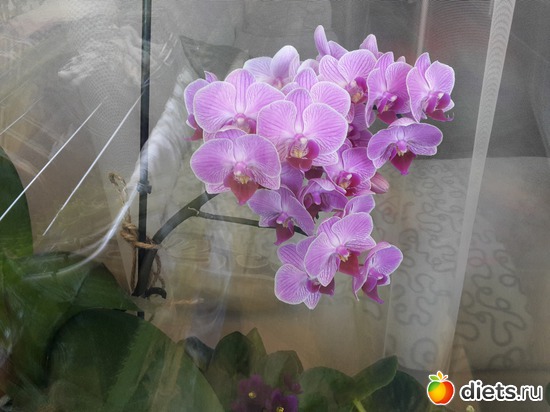 18 ����: ��� �������� � �������!