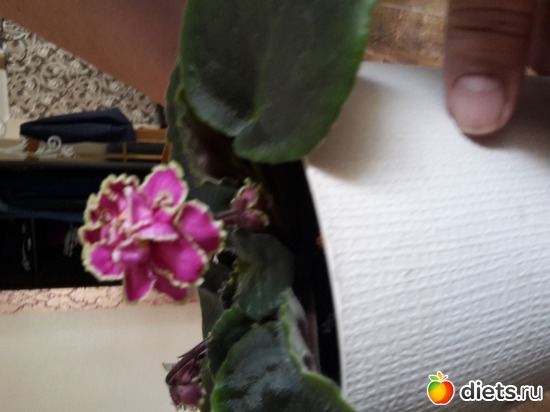 19 ����: ��� �������� � �������!