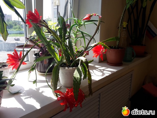 21 ����: ��� �������� � �������!