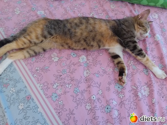 ����� 9.06.2017, ������: ��� ��������