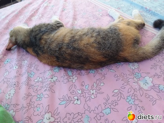 ����� 9.06.2017, ������: ��� ��������