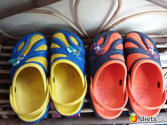 ������ 31 � 32, ������: ������