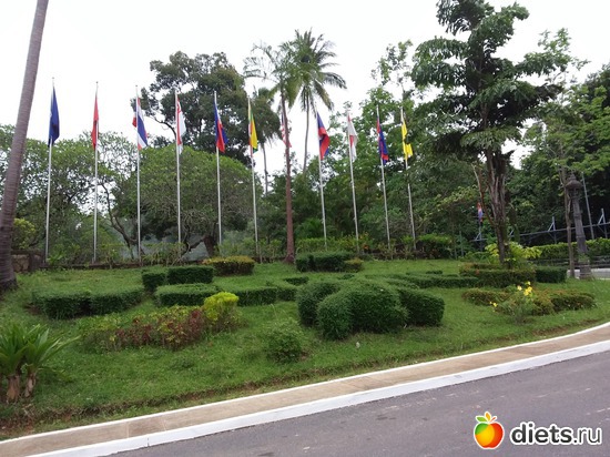 40 ����: ����������� �����