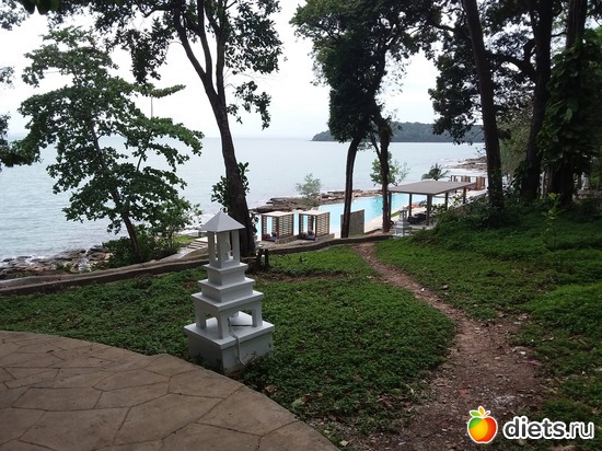 34 ����: ����������� �����