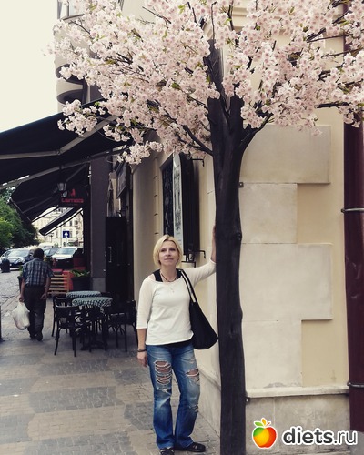 11 ����: �����