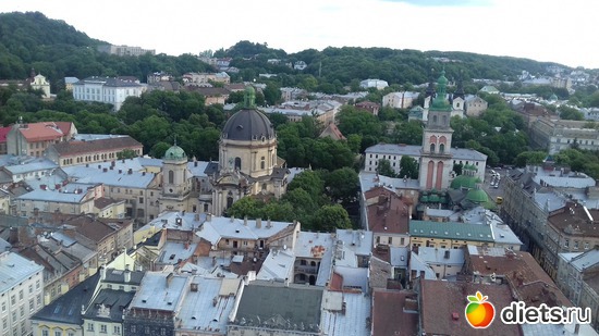 33 ����: �����