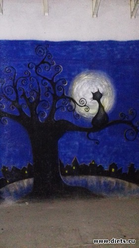 20 ����: �����