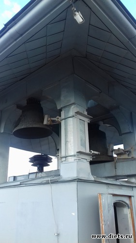 36 ����: �����