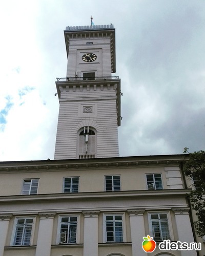 24 ����: �����