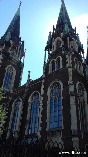 40 ����: �����