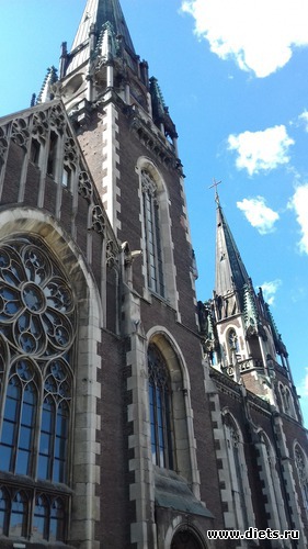 41 ����: �����