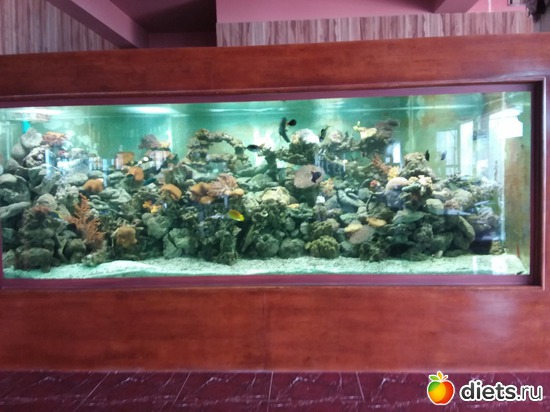 135 ����: ������