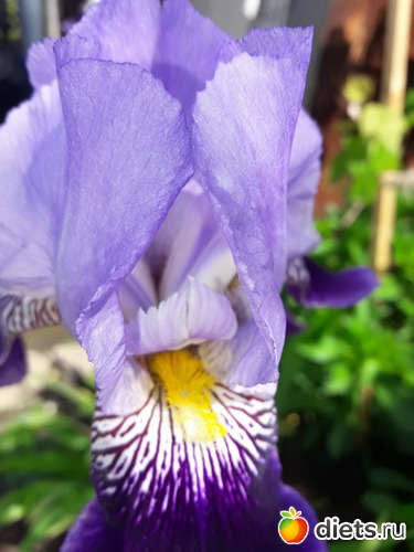 23 ����: �����