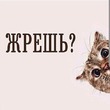 ���� ������.
