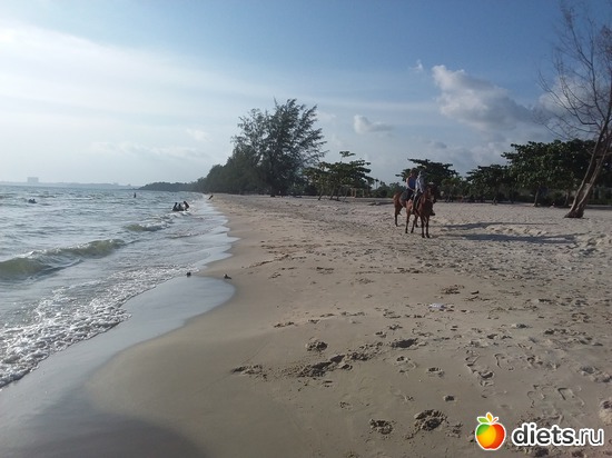 139 ����: ������