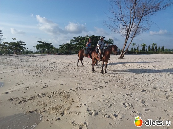 140 ����: ������