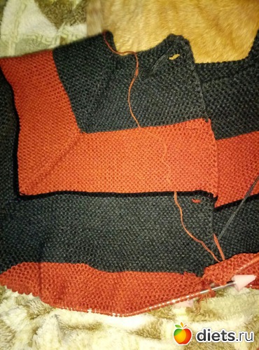 5 ����: ���� �